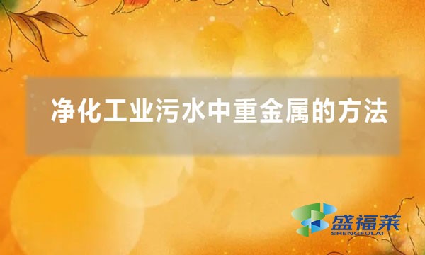 凈化工業污水中重金屬的方法(如何剝離污水中的重金屬)