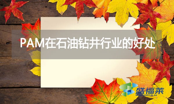 聚丙烯酰胺（PAM）在石油鉆井行業(yè)的好處
